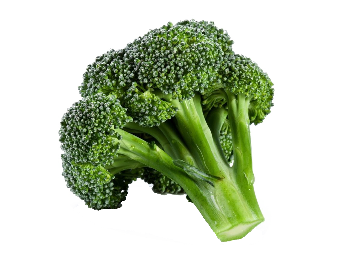 grocery